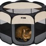 pet accessories.